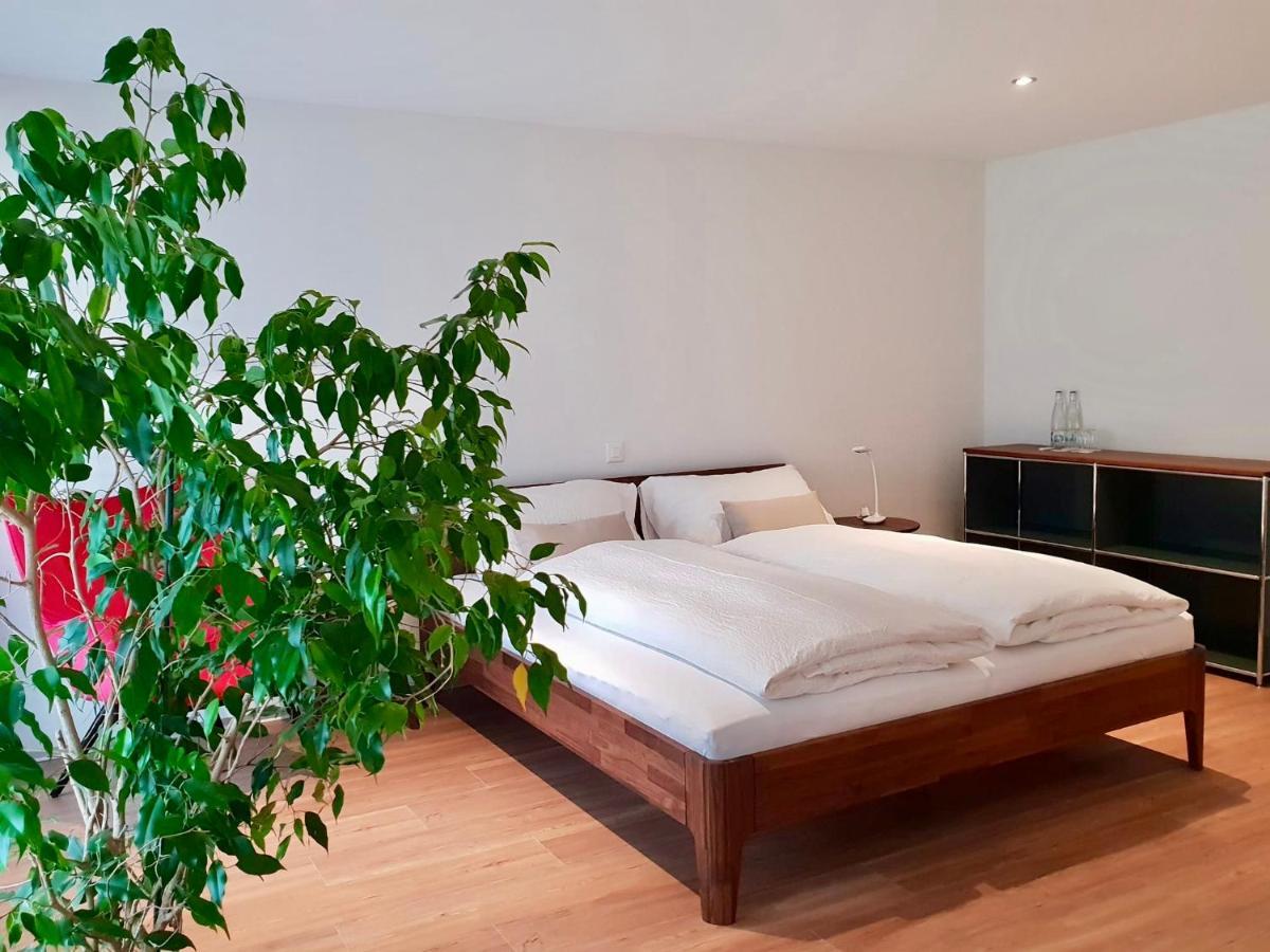 Ringmauer Hotel Муртен Екстериор снимка