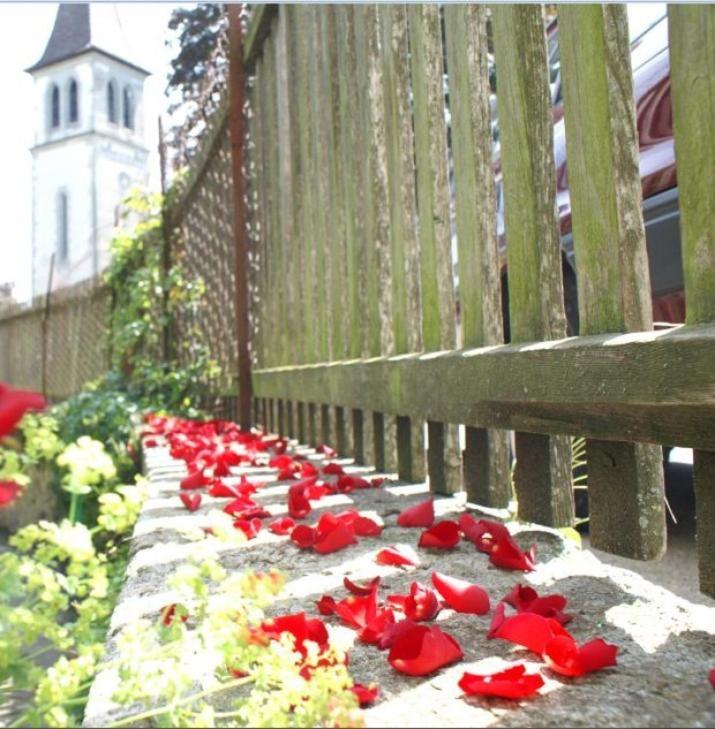 Ringmauer Hotel Муртен Екстериор снимка
